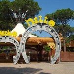 cavallinomatto